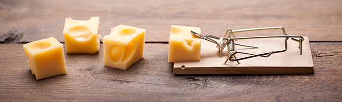 mousetrap-cheese.jpg
