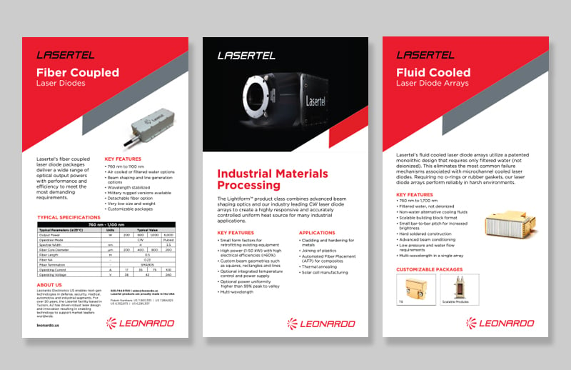 Leonardo-case-study.2