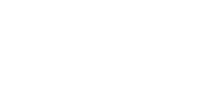 Basler-1