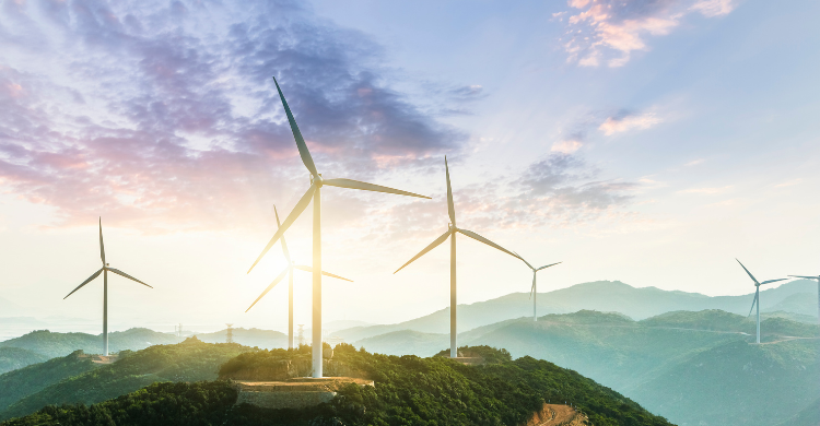 wind turbine energy industry change management