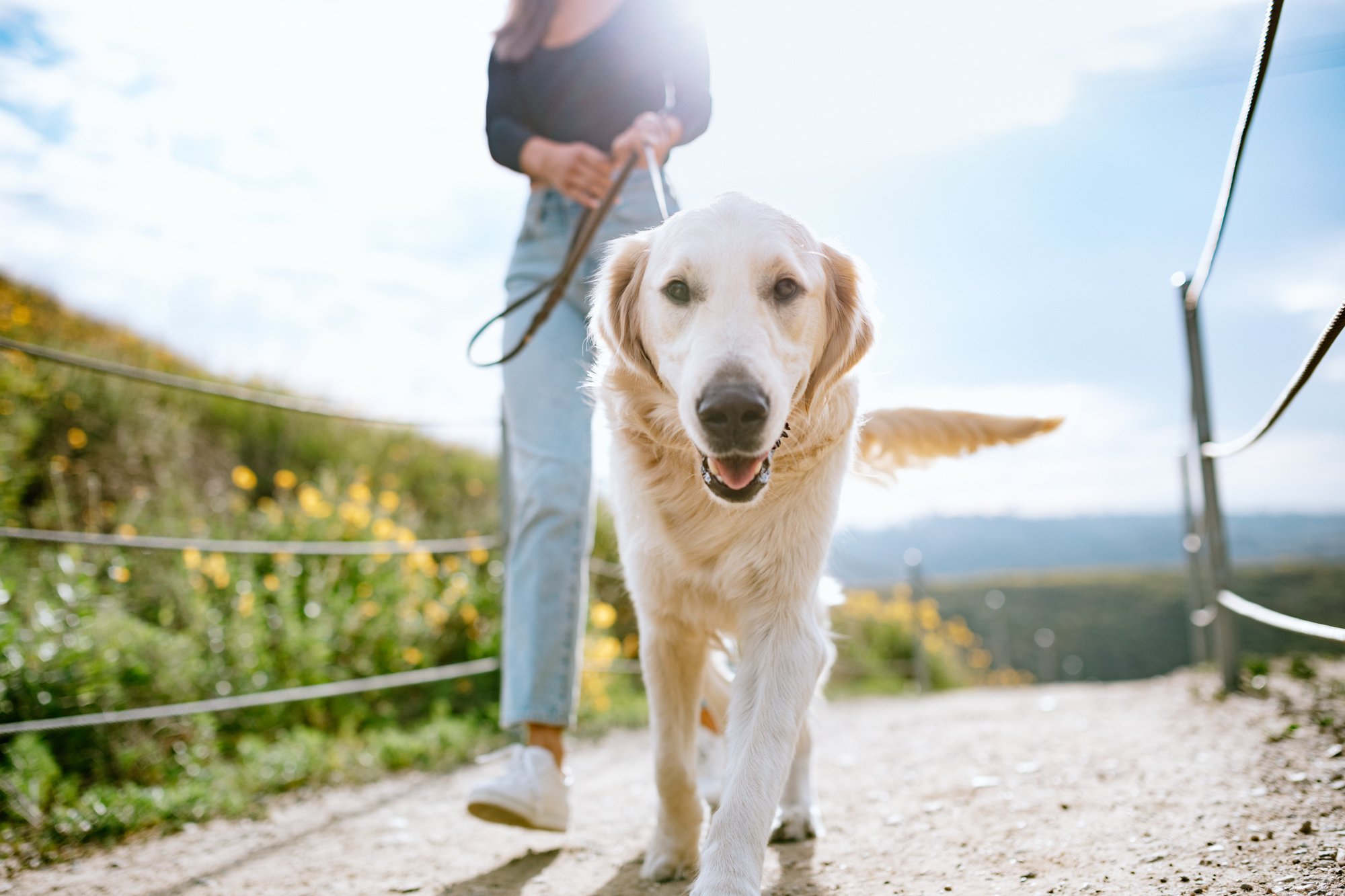 iStock-1216277209