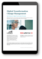 www.launchteaminc.comhs-fshubfsdigital transformation ebook in ipad