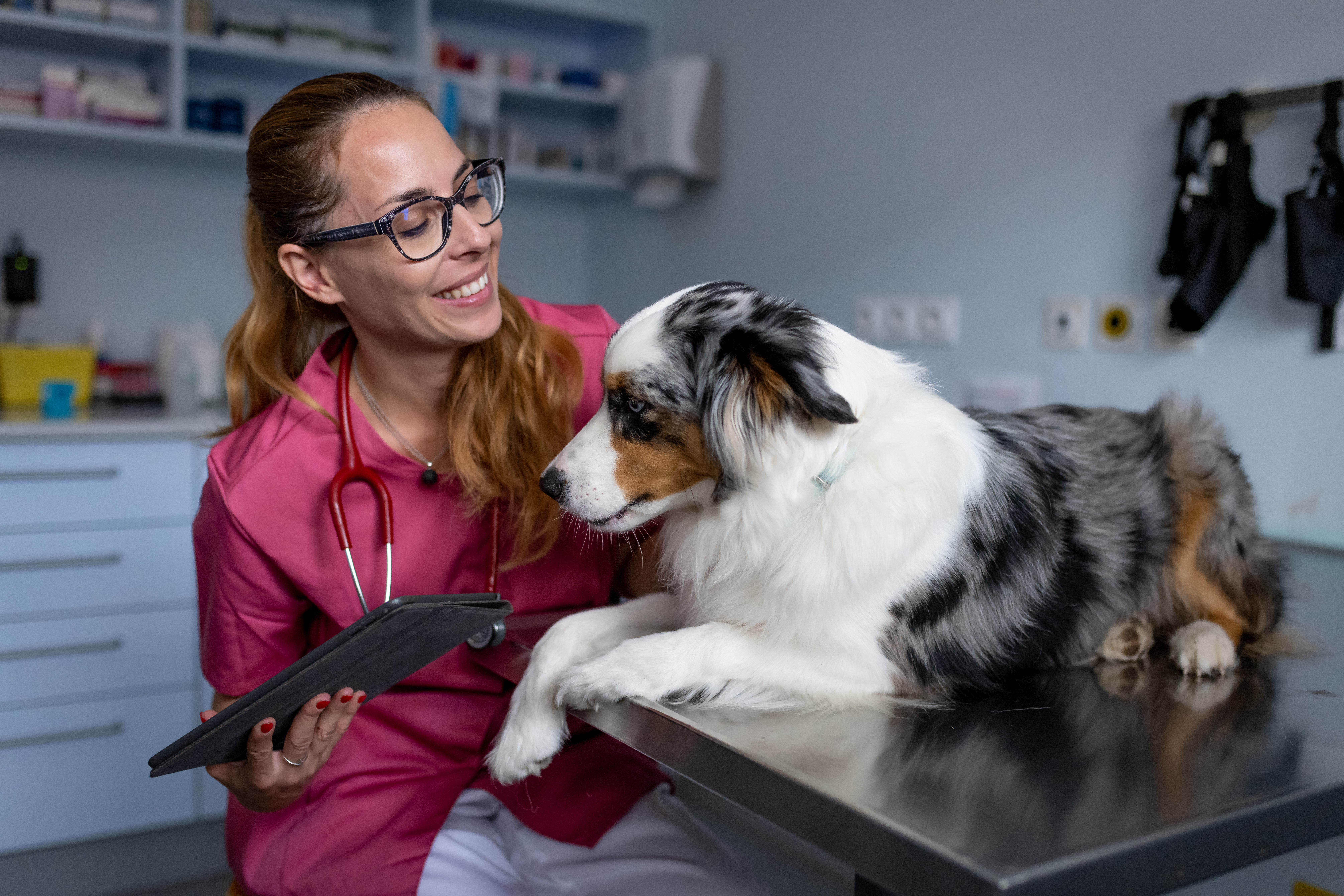 Marketing Strategy for Companies Entering the Veterinary Market